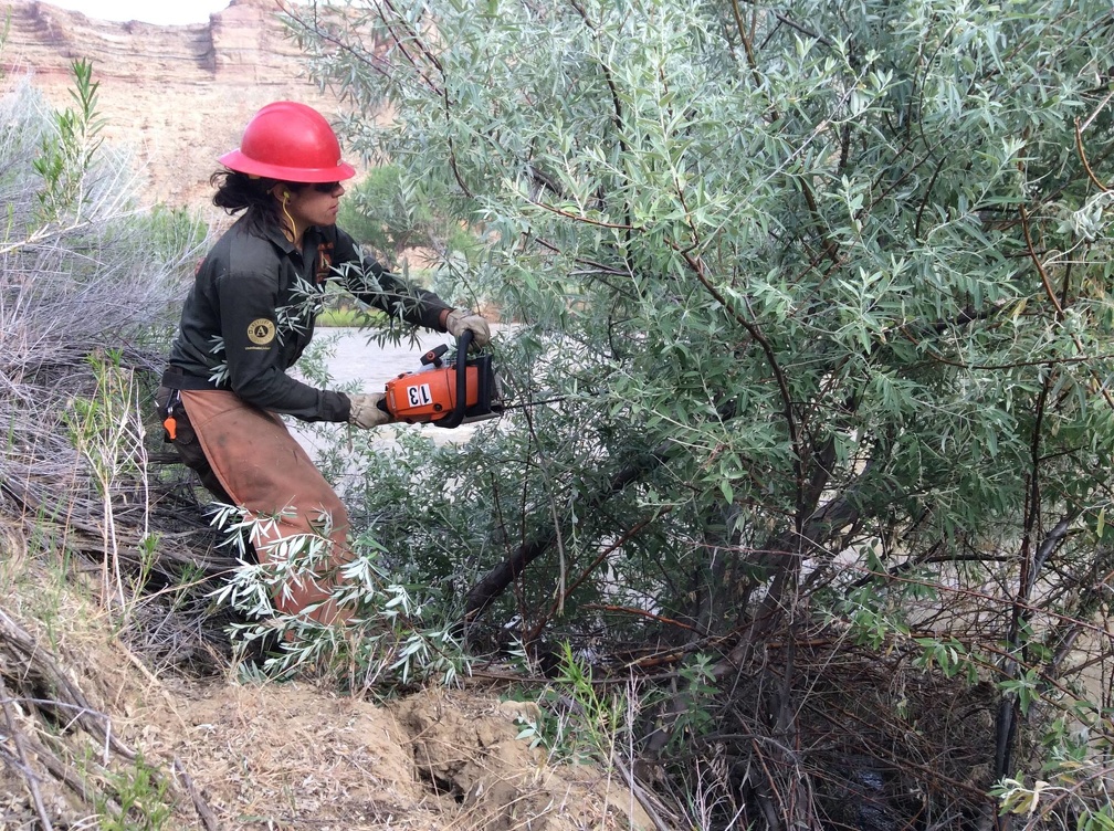 10498025 10152105375167680 6009725991323005328 o