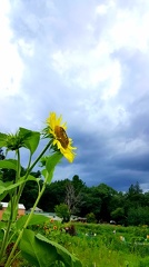 2018-08-03 18.41.13-1