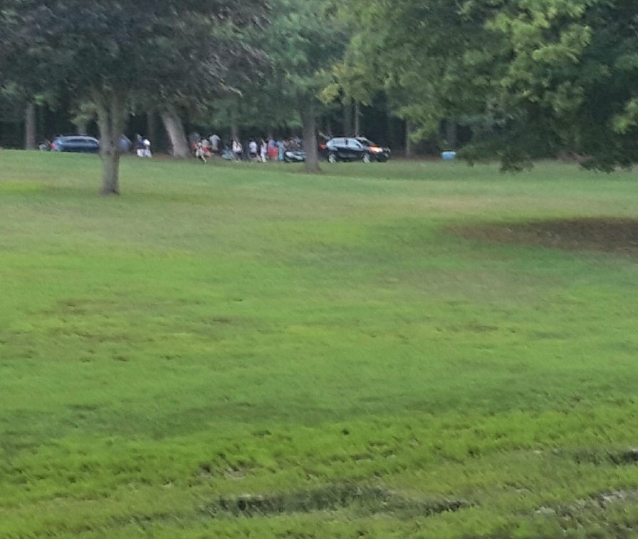 2018-08-05 19.51.57-1