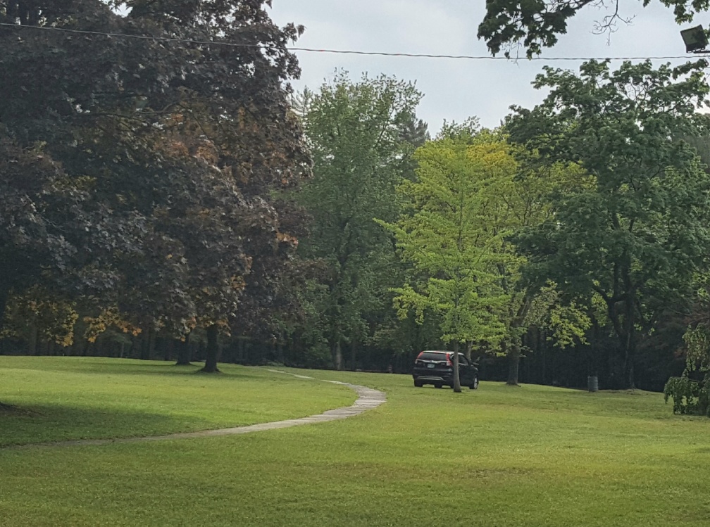 2019-06-02 19.24.31-2