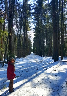 2019-03-03 14.04.17-2