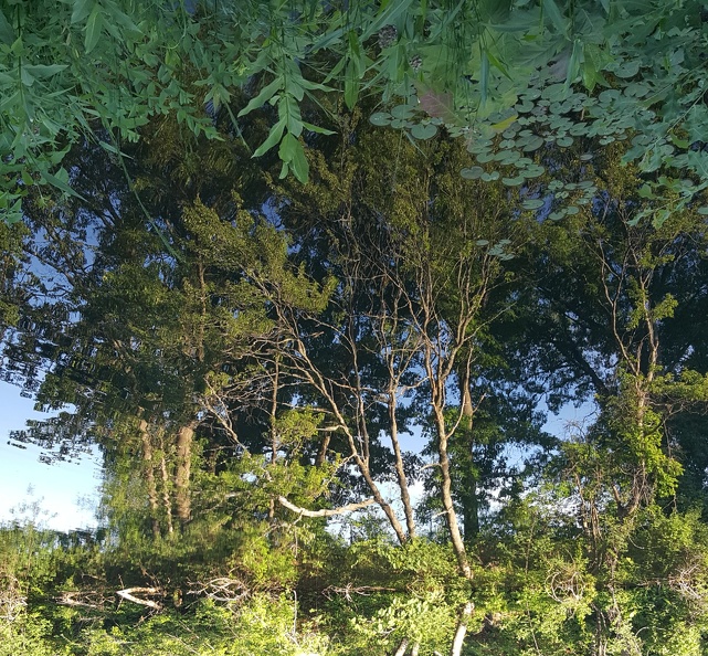 2020-06-16 19.13.43-2