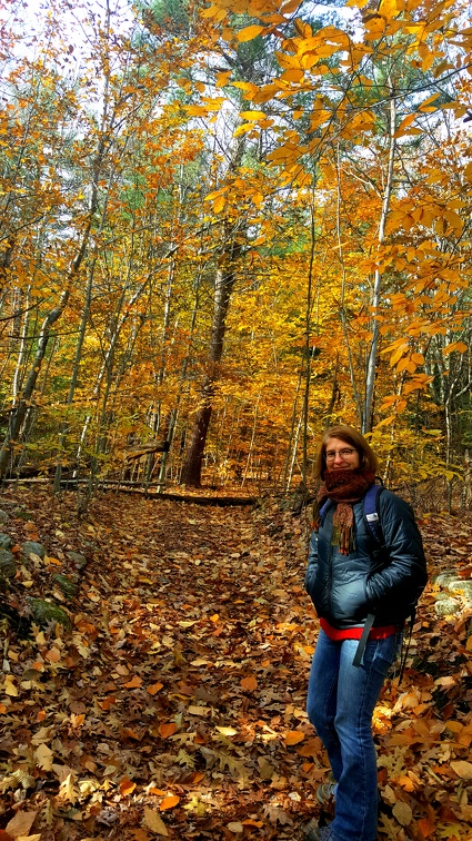 2018-11-04 12.55.01-2