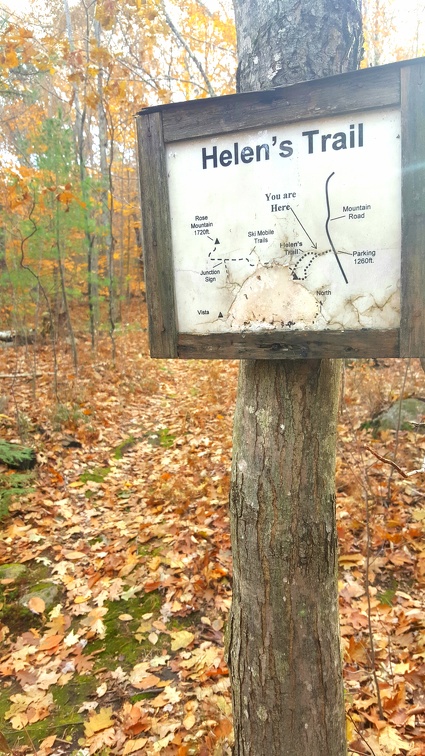 2018-11-04 14.25.27-2