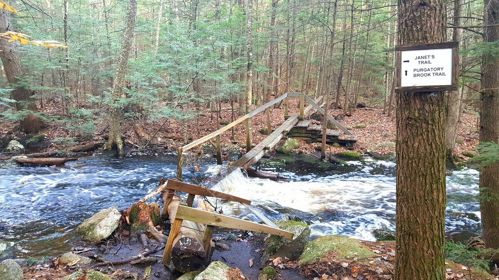 2018-11-04 15.09.11-2