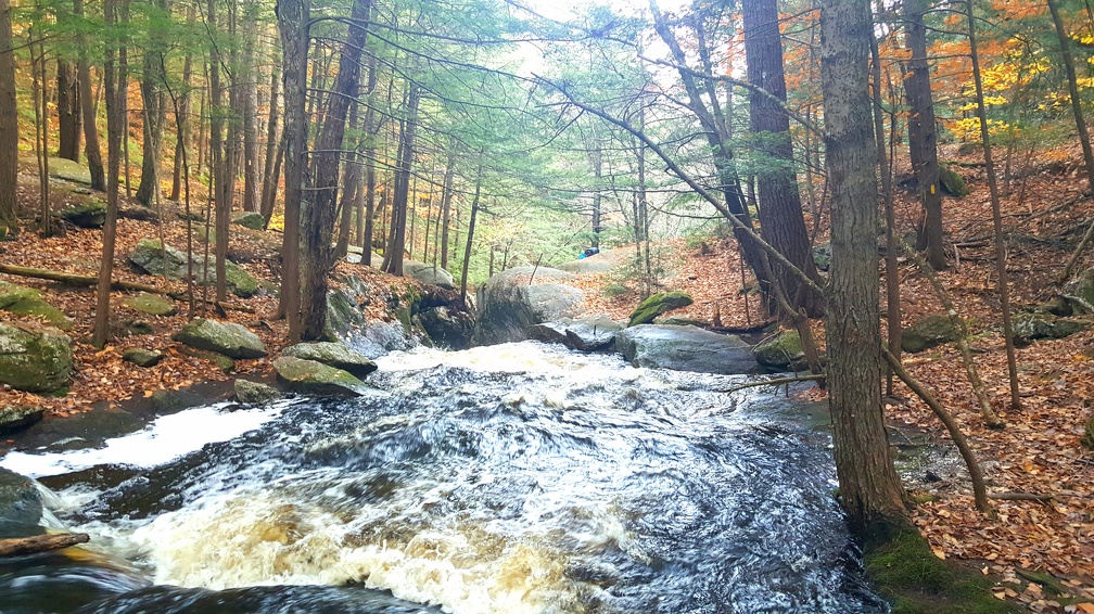 2018-11-04 15.13.16-2