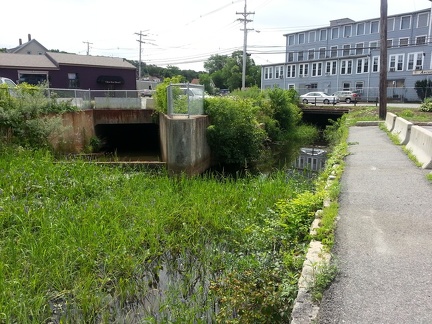 2014-07-20 11.23.38-2