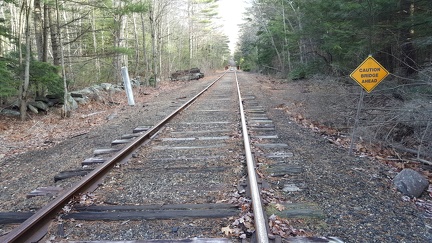 2015-12-16 13.15.06-1