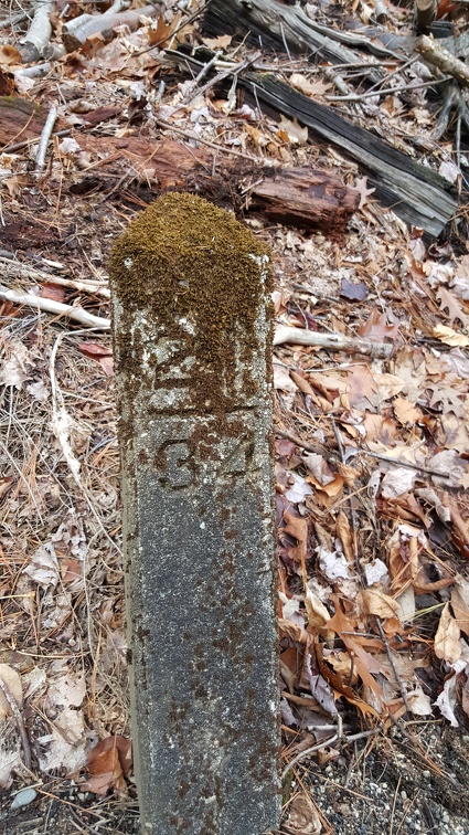 2015-12-16 13.23.26-1