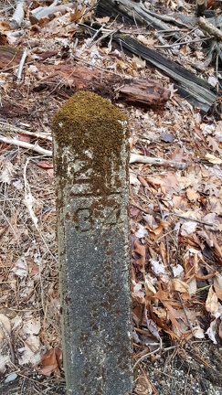 2015-12-16 13.23.26-1