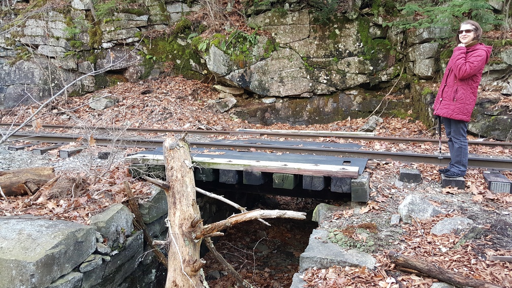 2015-12-16 13.25.59-1