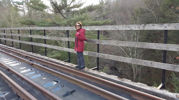 2015-12-16 13.32.18-1