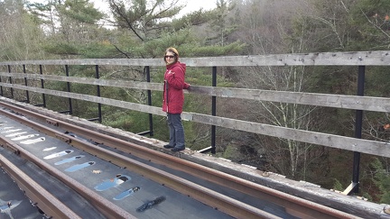 2015-12-16 13.32.18-1