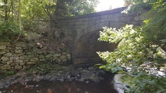 2016-07-16 13.39.50-2