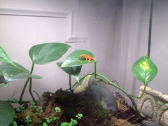 image003 DiskStation Oct-25-1559-2016 CaseConflict