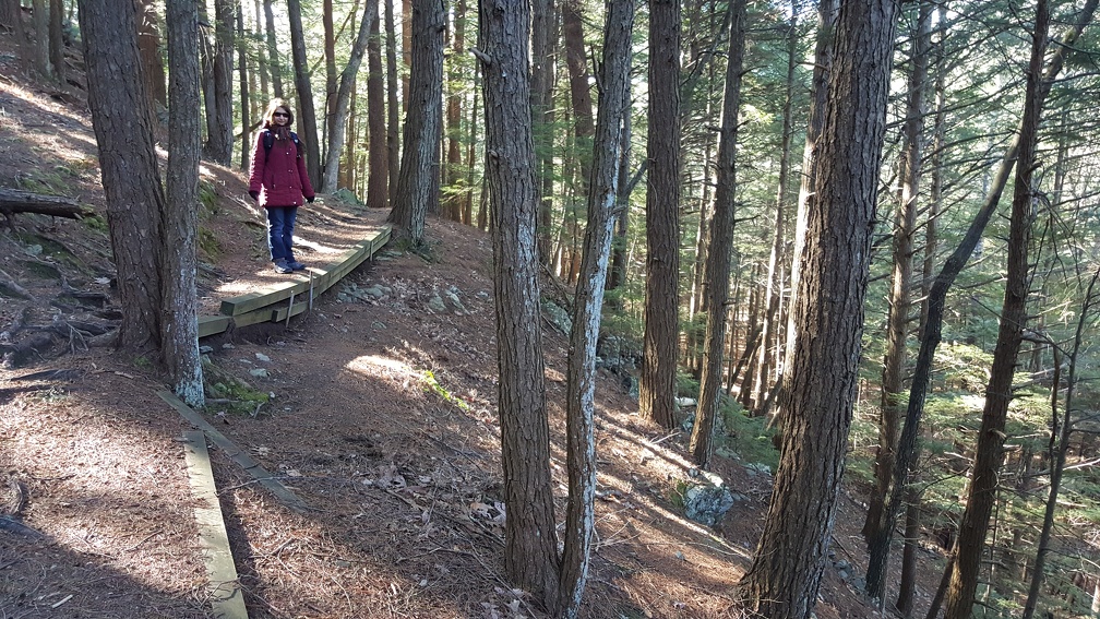 2016-03-20 10.04.06-1