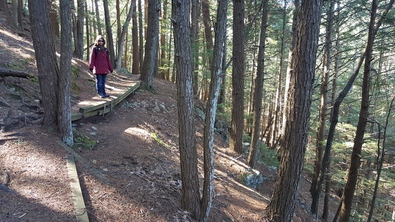 2016-03-20 10.04.06-1