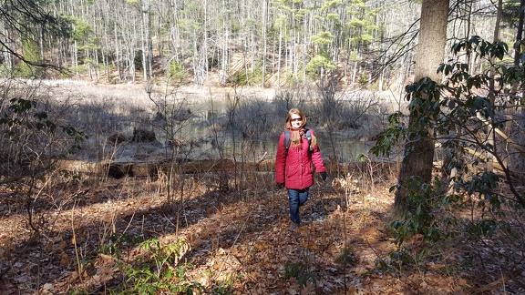 2016-03-20 10.38.31-1