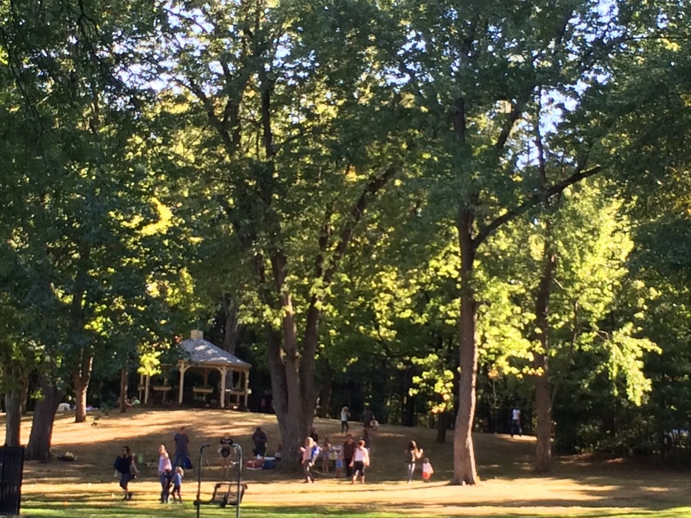 14352290 10153679597366567 4740364752778076017 o