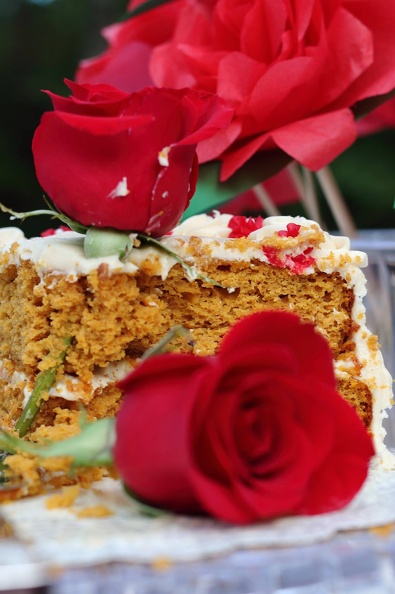 14409512 10209086580873041 2933055345210434603 o