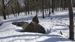 2017-02-19 12.03.50-1