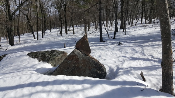 2017-02-19 12.03.50-1