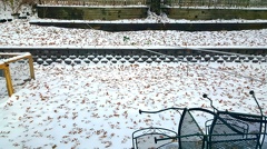 2018-11-16 13.07.17-2