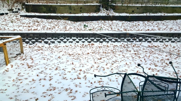 2018-11-16 13.07.17-2