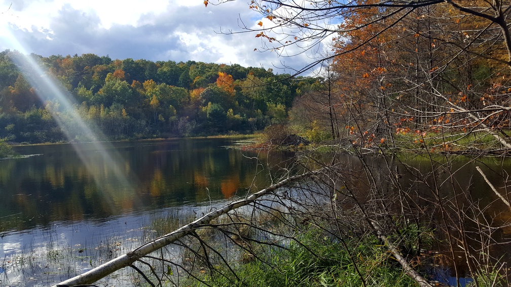 2018-10-20 14.24.42-1