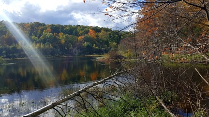 2018-10-20 14.24.42-1