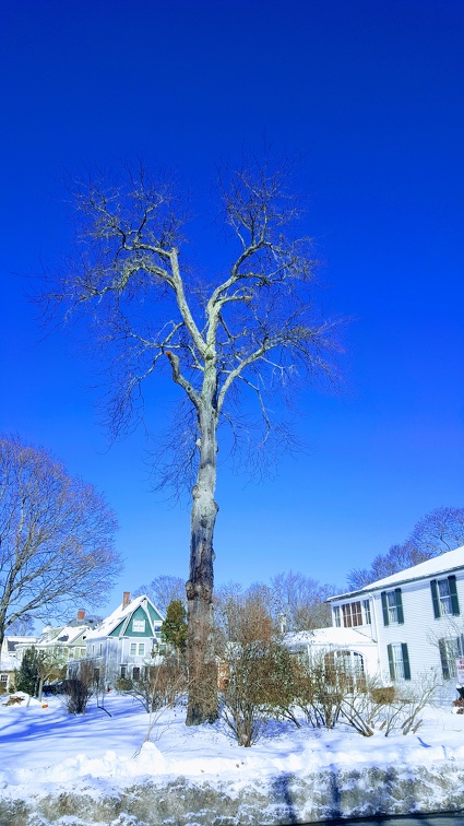 2019-12-07 11.44.40-1-1