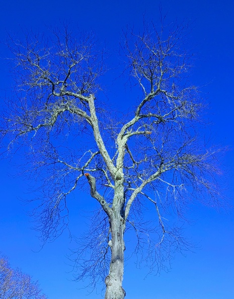 2019-12-07 11.44.40-1