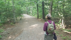 2019-08-03 16.36.20-1