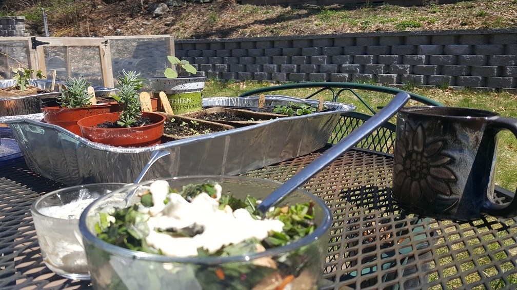 2020-04-25 12.50.50-2