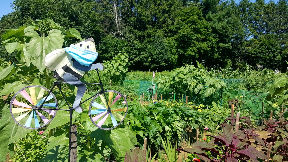 2020-07-18 10.46.16-1