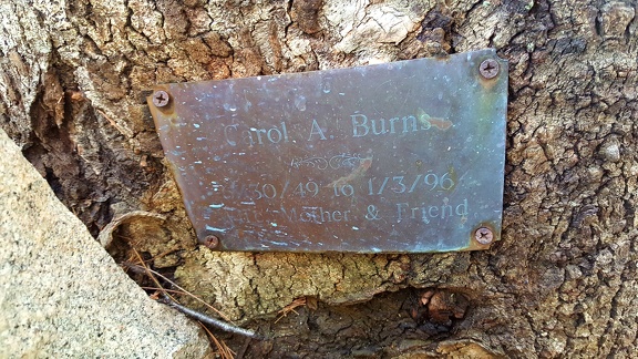 2020-03-14 14.41.49-1