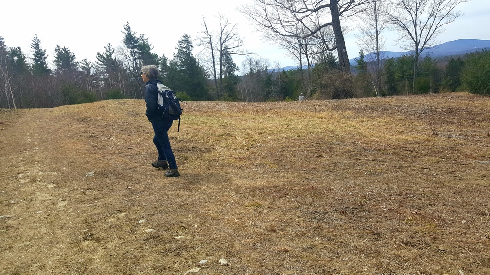 2020-04-12 12.58.17-2