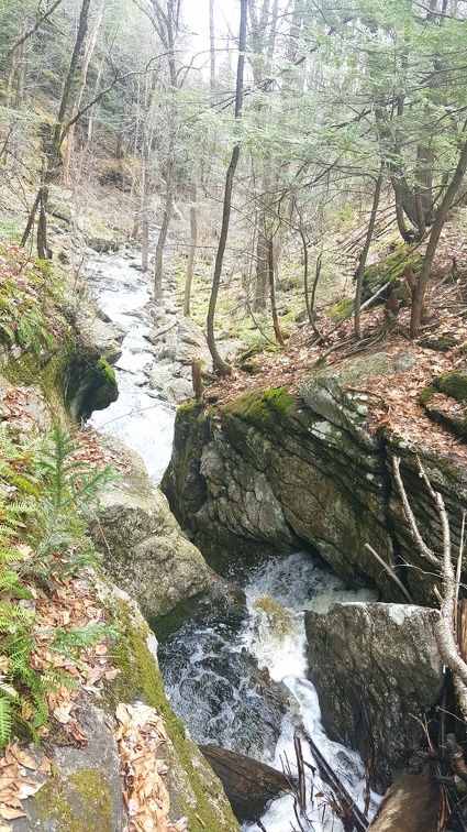 2020-04-12 13.35.55-2