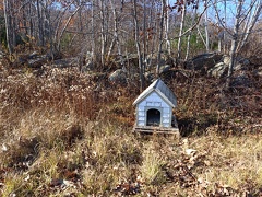 IMG 20211108 113923 1