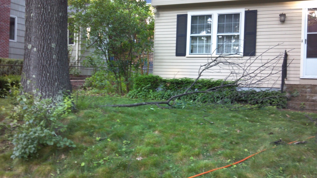 2012-06-10 19-09-47 99