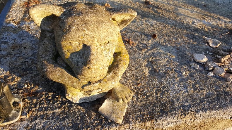 2015-11-29 15.33.59-1