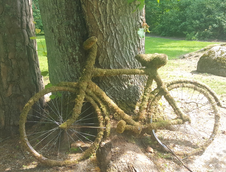 2019-06-26 13.07.37-2