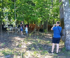 2019-06-23 12.59.38-2