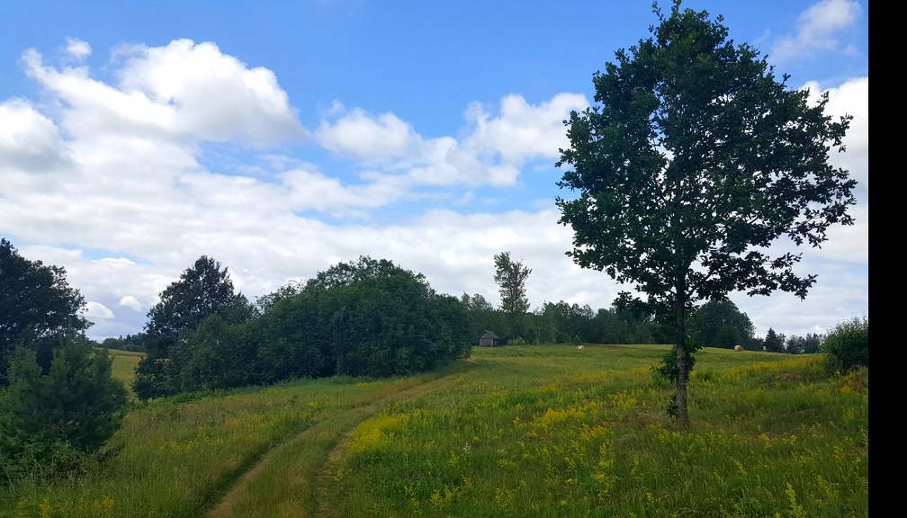 2019-06-27 12.14.55-2