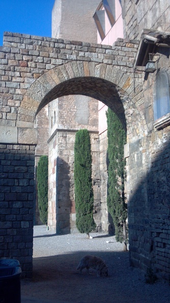 2012-06-24 19-27-26 241