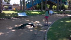 2012-06-26 12-51-32 280