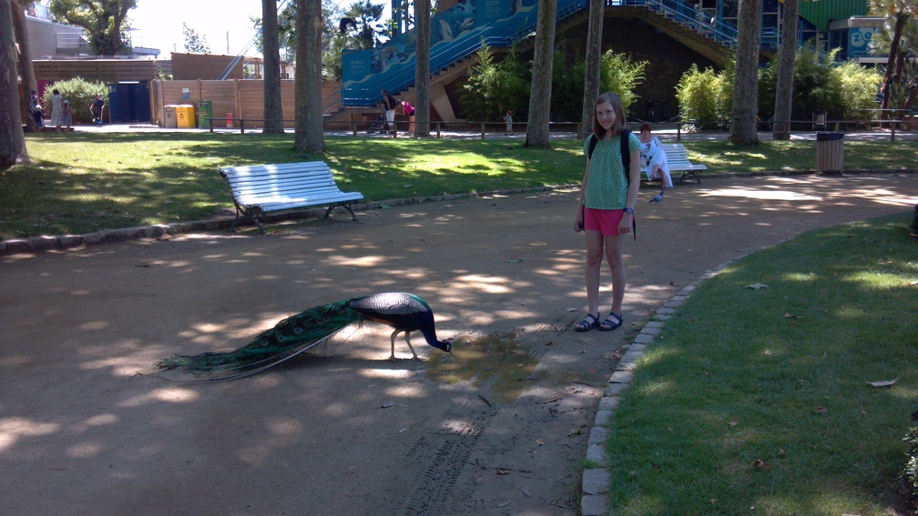 2012-06-26 12-51-32 280