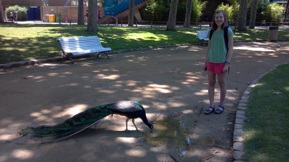 2012-06-26 12-51-40 82