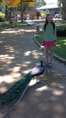 2012-06-26 12-52-59 463