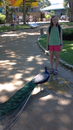 2012-06-26 12-52-59 463